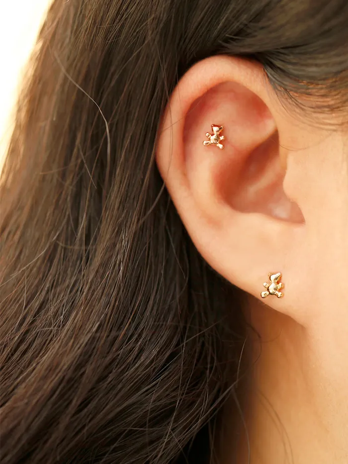 MinimalBijoux Earrings 14K Gold Baby Bear Cartilage Earring 20G18G16G