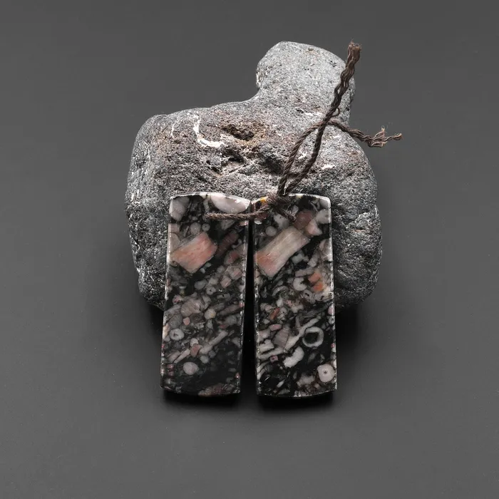 Natural Crinoid Fossil Flat Rectangle Earring Pair Cabochon Cab Drilled Matched Gemstone Bead Pair A2 Intrinsic Trading Earrings