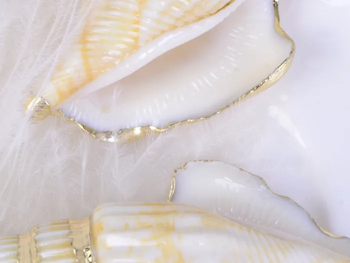 Multicolor Accent Ocean Seashell Couch Mermaid Sea Witch Drop Dangle Earrings Alilang Earrings
